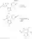 Fig. 13 - N-hydroxyamidinoheterocycles as modulators of indoleamine 2,3-dioxygenase