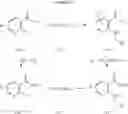 Fig. 50 - Method for preparing 6-substituted-7-aza-indoles