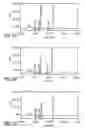 Fig. 05 - BLADDER CANCER TREATMENT AND METHODS