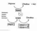Fig. 01 - Screen for pre-eclampsia