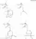 Fig. 52 - Polymerizable compound, polymer, positive-resist composition, and patterning process using the same