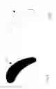 Fig. 02 - Denture adhesive articles