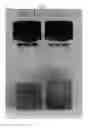 Fig. 03 - Siloxane dispersant and nanoparticle paste composition comprising the same