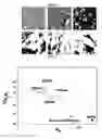 Fig. 02 - Polymer composite, film thereof and separation membrane made therefrom