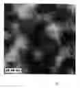 Fig. 02 - Polymeric nano-particles of flower-like structure and applications