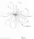 Fig. 03 - Polymeric nano-particles of flower-like structure and applications