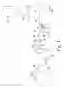 Fig. 02 - Pelletized brominated anionic styrenic polymers and their preparation and use