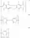 Fig. 16 - Perdeuterated polyimides, their process of preparation and their use as materials which are transparent within the region from 2500 to 3500 cm-1