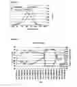 Fig. 04 - Catalyst grain size