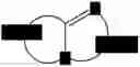 Fig. 04 - Polyurethane elastomers comprising allophanate modified isocyanates