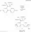 Fig. 19 - Dihalide, polymer compound and method for producing the same