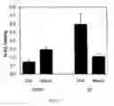 Fig. 09 - Peptide-Based Multimeric Targeted Contrast Agents