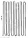 Fig. 02 - Nucleic acids encoding a G-protein coupled receptor involved in sensory transduction