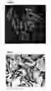 Fig. 02 - Novel albumins