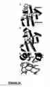 Fig. 06 - Novel albumins