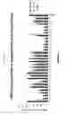 Fig. 04 - siRNA targeting connexin 43