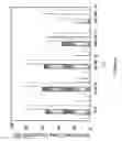 Fig. 06 - siRNA targeting connexin 43