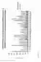 Fig. 28 - siRNA targeting connexin 43