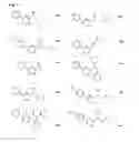 Fig. 12 - Process for generating linear apha olefin comonomers