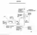 Fig. 02 - In-line process for generating comonomer