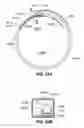 Fig. 24 - Two-way adjustable implant