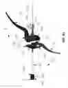 Fig. 57 - SYSTEM AND METHOD FOR POSITIONING A LAPAROSCOPIC DEVICE