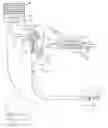 Fig. 01 - Endoscopy system