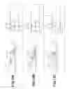 Fig. 08 - Endoscopy system