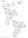 Fig. 05 - Vascular therapy delivery system