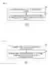 Fig. 07 - METHODS FOR ANTI-ATHEROSCLEROTIC THERAPY