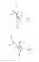 Fig. 06 - Apparatus and method for treating a regurgitant valve