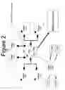 Fig. 03 - CONTROL MODULE