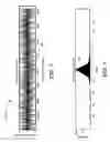 Fig. 03 - Excitation signal generator for improved accuracy of model-based testing