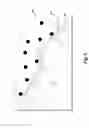 Fig. 07 - Using electroencephalograph signals for task classification and activity recognition