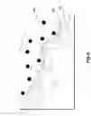 Fig. 08 - Using electroencephalograph signals for task classification and activity recognition