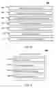 Fig. 09 - Method and system for bio-metric voice print authentication
