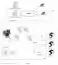Fig. 02 - Method and apparatus for the home delivery of local retail e-commerce orders
