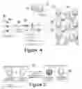 Fig. 04 - TOKEN BASED TWO FACTOR AUTHENTICATION AND VIRTUAL PRIVATE NETWORKING SYSTEM FOR NETWORK MANAGEMENT AND SECURITY AND ONLINE THIRD PARTY MULTIPLE NETWORK MANAGEMENT METHOD