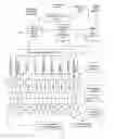 Fig. 01 - System permitting the display of video or still image content on selected displays of an electronic display network according to customer dictates