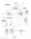 Fig. 04 - System permitting the display of video or still image content on selected displays of an electronic display network according to customer dictates