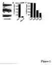 Fig. 03 - Zebrafish models of acute myelogenous leukemia