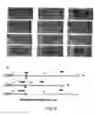 Fig. 05 - Method for generating overexpression of alleles in genes of unknown function