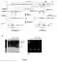 Fig. 02 - Methods for genetic diversification in gene conversion active cells