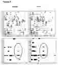 Fig. 06 - TAT-030 and methods of assessing and treating cancer