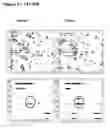 Fig. 06 - TAT-036 and methods of assessing and treating cancer