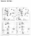 Fig. 07 - TAT-036 and methods of assessing and treating cancer