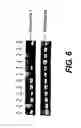 Fig. 06 - Knockout mouse for the tumor suppressor gene ANX7