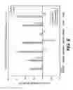 Fig. 08 - Knockout mouse for the tumor suppressor gene ANX7
