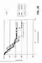 Fig. 28 - Knockout mouse for the tumor suppressor gene ANX7