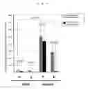 Fig. 06 - Mutant BDNF gene introducing knockin mouse